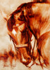 Sandra Whyte-Rodeo Horse (Original oil)