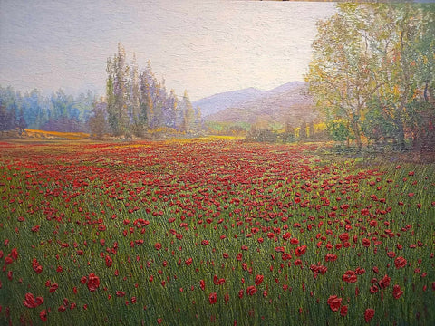 Field of Poppies-Raquel Clarke