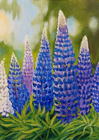 Annette Dickison-lupins