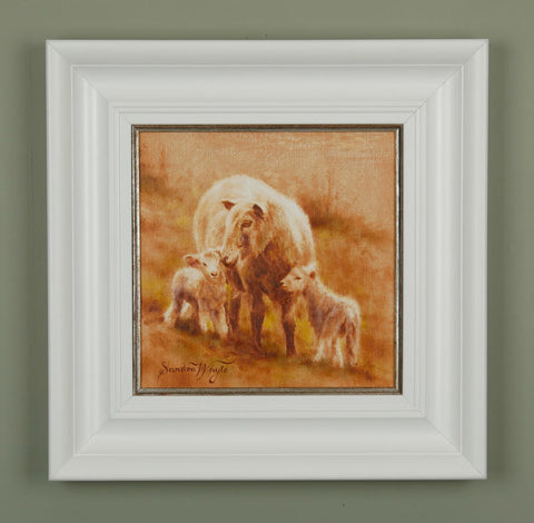 Sandra Whyte-Sheep and Lambs.