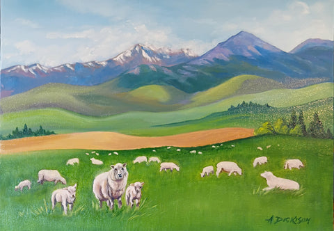 Annette Dickison-South Island Sheep