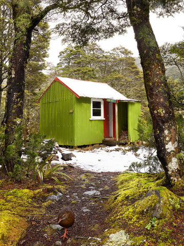 Peter Latham-Wicked Weka