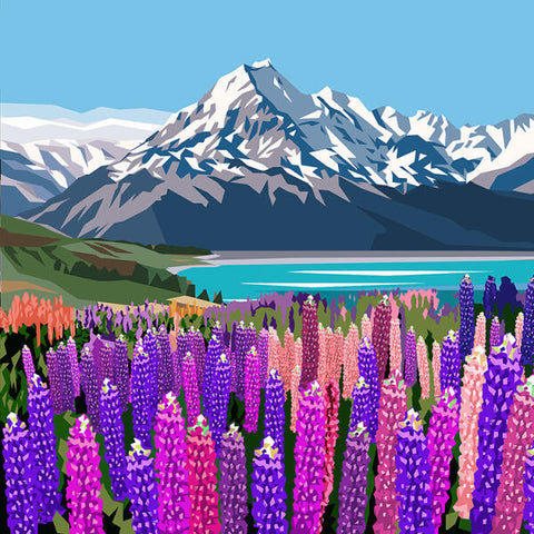 Ira Mitchell-Mt Cook Lupins