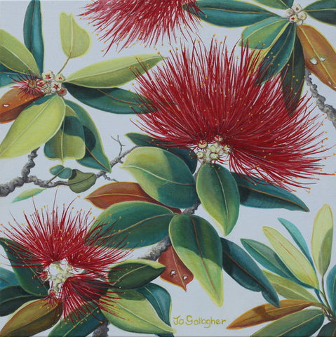 Jo Gallagher-The Pohutukawa Flower